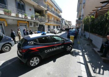 carabinieri_lapresse_2017