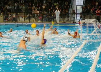 pallanuoto maschile Italia