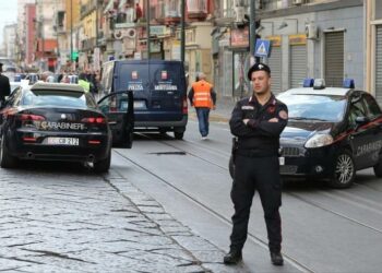 Carabinieri_Strada_Lapresse