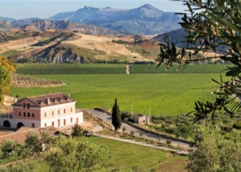 Librandi-Tenuta_Rosaneti