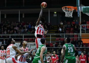 Pelle_Varese_Avellino_basket_lapresse_2017