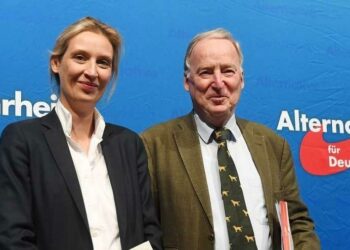 alice_weidel_alexander_gauland_afd_germania_web