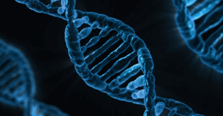 dna_pixabay_01