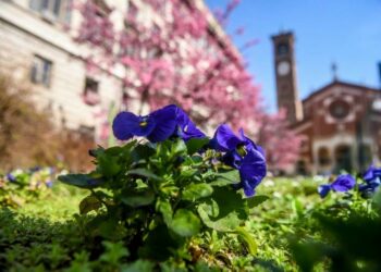 fiori_alberi_primavera_milano_meteo_lapresse_2017