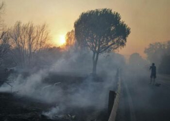 incendio_caldo_pineta_bosco_1_lapresse_2017