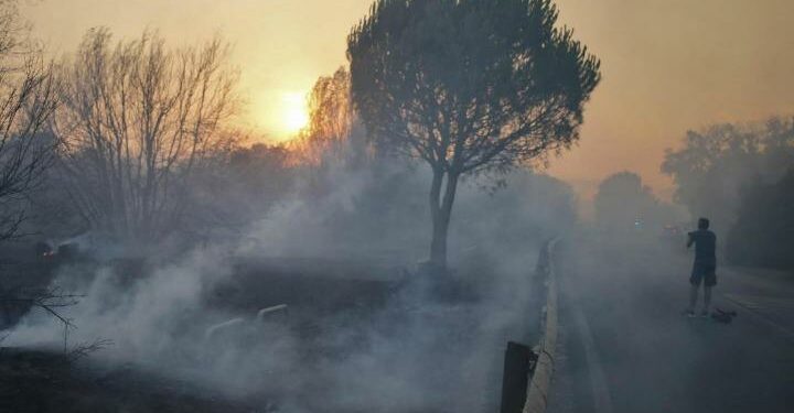 incendio_caldo_pineta_bosco_1_lapresse_2017