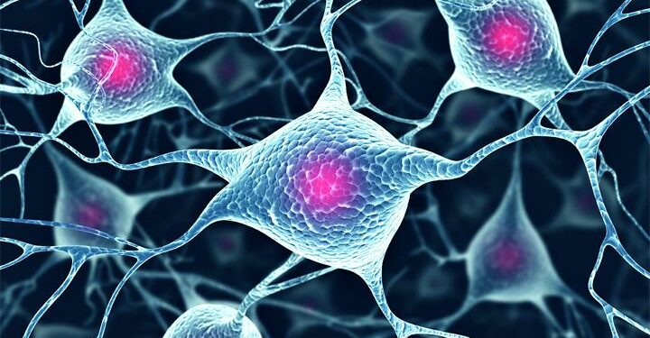 neuroscienze_2018