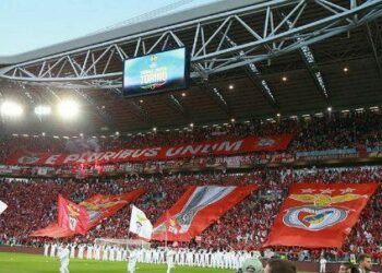 Benfica_curva