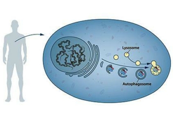 Cecconi_63_00_nobel-medicina_439x302_ok