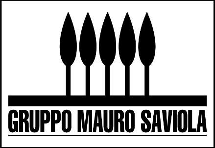 Gruppo_Mauro_Saviola