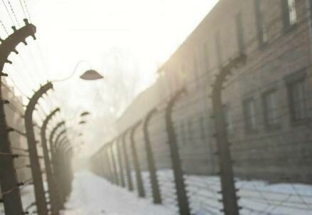 auschwitz_shoah_memoriaR439