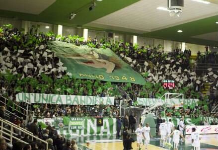 avellino_scandone