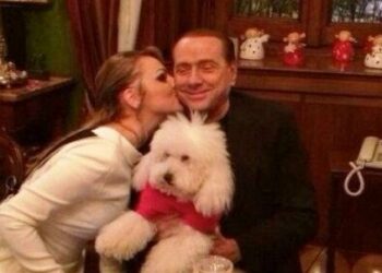 berlusconi-dudu