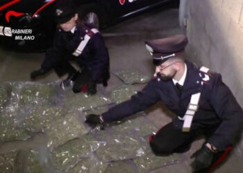 carabinieri_droga_sequestro_1_lapresse_2017