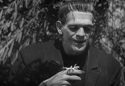 frankenstein-boris-karloff_R439