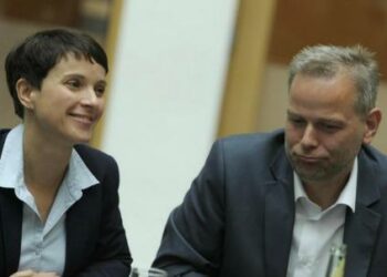 fraukepetry_afd1R439