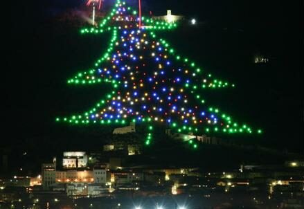 gubbio_albero_r439