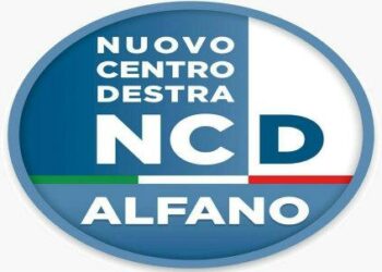 ncd-logo