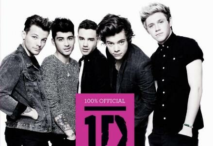 one-direction-libro-2013