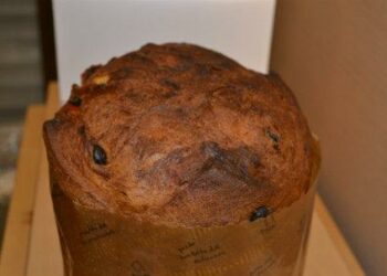 panettone_gatti_R439