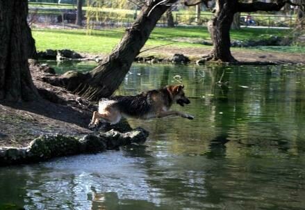 parco-natura-cane-lago