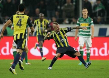 raul_meireles_fenerbahce