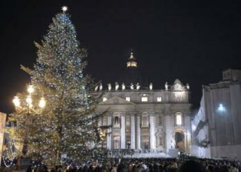 sanpietro_albero_r439