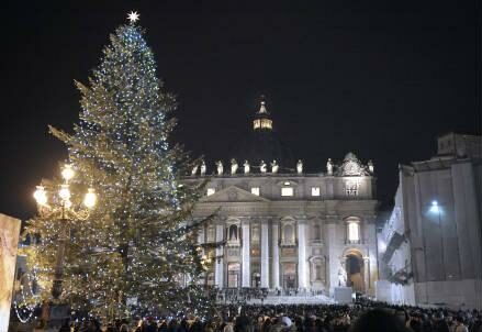 sanpietro_albero_r439