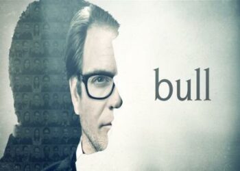 Bull_1_facebook