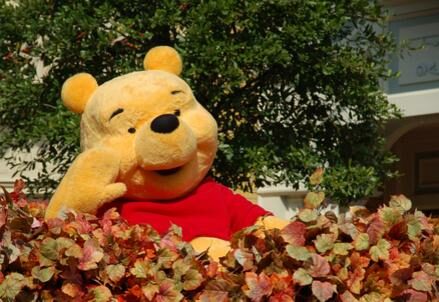 Winnie_Pooh_CC_Darrell_Taylor_R439