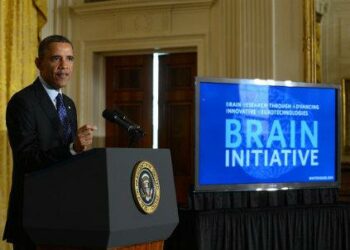 brain_obama_R439