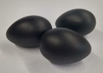 eggs-1320544_640