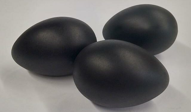 eggs-1320544_640