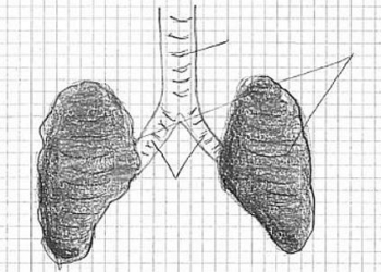 38_SSc_Dossier-corpo-umano_big