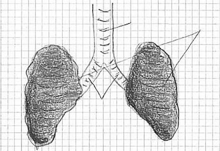 38_SSc_Dossier-corpo-umano_big