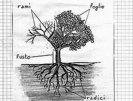 40_SSc_Non-solo-scienze_Durigo_439x302