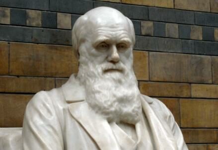 Charles_Darwin439