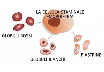 Locatelli_23_00_apertura_439x302_ok