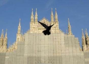 Milano_duomo_piccioneR375_13ott08