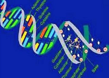 Naldi_Matematica_Biologia_better_439x302