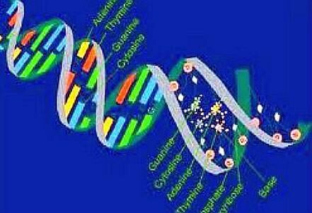 Naldi_Matematica_Biologia_better_439x302