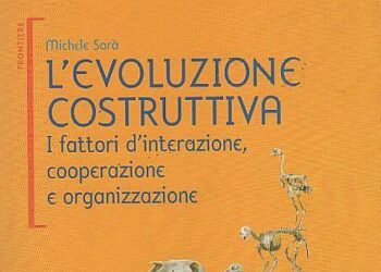 Sara_Evoluzione-costruttiva_439x302_ok