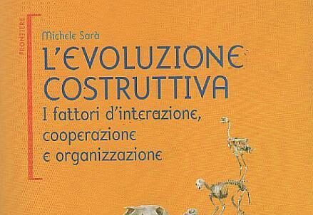 Sara_Evoluzione-costruttiva_439x302_ok