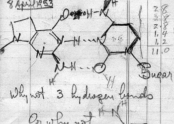 Semenza_dna_pauling_439x302_ok