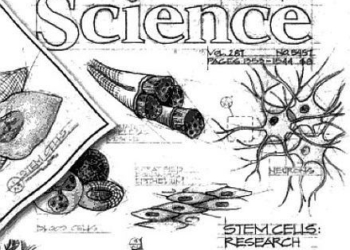 Vescovi_cop-Science_better_439x302