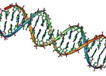 elica_dna_439x302_ok