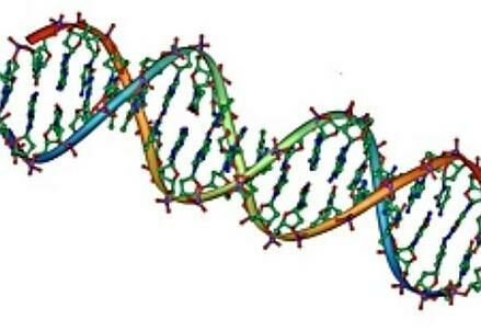 elica_dna_439x302_ok