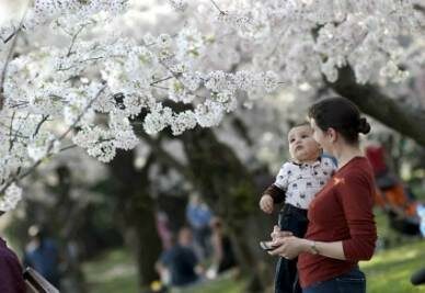 gemme_primavera_fiori_mamma_bambinoR400