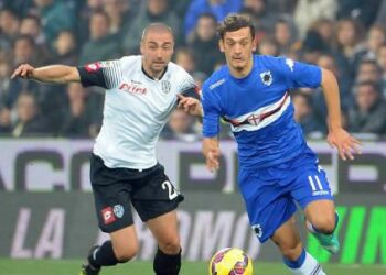 capelli_gabbiadini