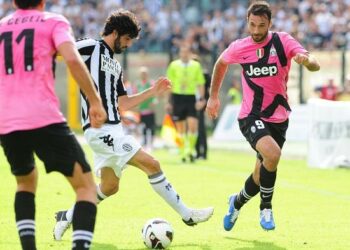 neto_vucinic